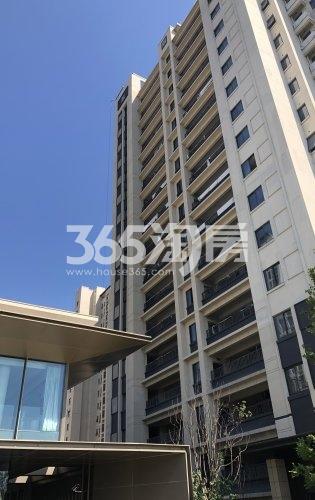 甪澄时光花园在建高层实景(5.11)