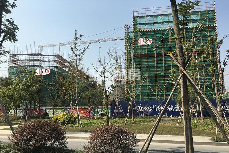 禹洲滨之江北区1、5号楼实景（2017.11）