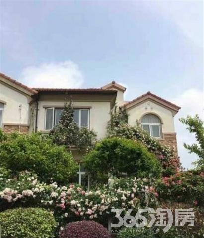 碧桂园如山湖城双拼别墅 四面环山抱湖 总价低 山好水好 豪装