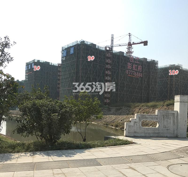 钱江彩虹府5、9、10号楼施工实景（2017.11）