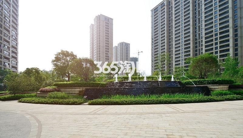 2017年7月中旬阳光郡实景---园区局部