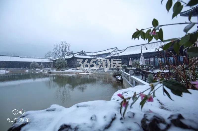 青云山居青云山居桃李春风园区实景图 2018年1月摄