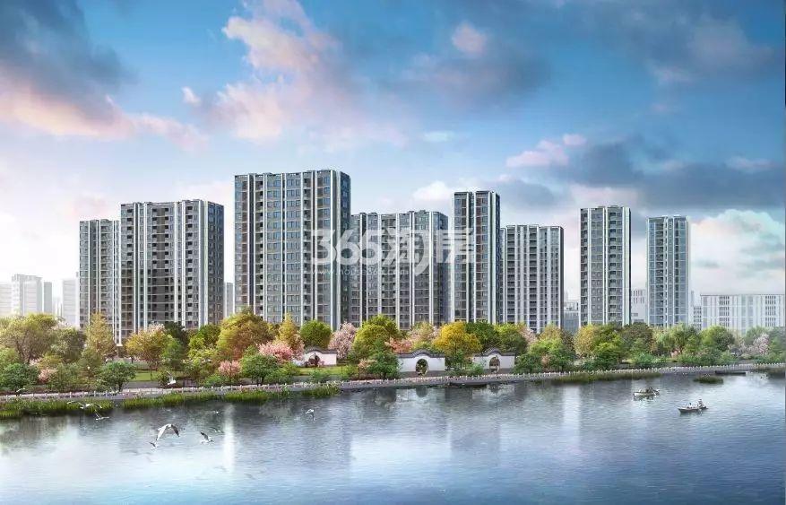 滨江金地御品效果图