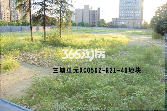 2017年9月九龙仓三塘地块实景