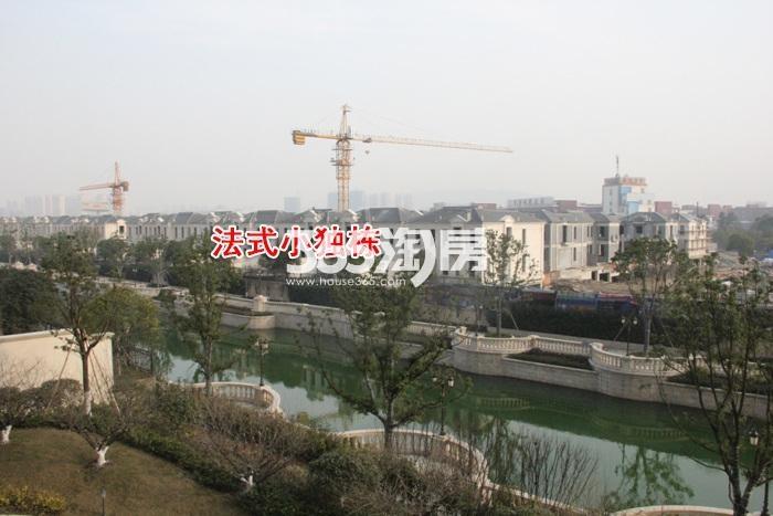 东晖龙悦湾项目法式小独栋实景图（2016.1）