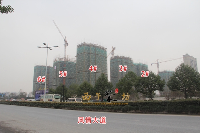龙湖旭辉春江悦茗2-6号楼施工进度实景图 2016年1月摄