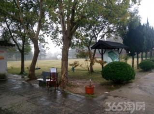 【乌江君盛丽景 一手开发商新房 无税 无费490