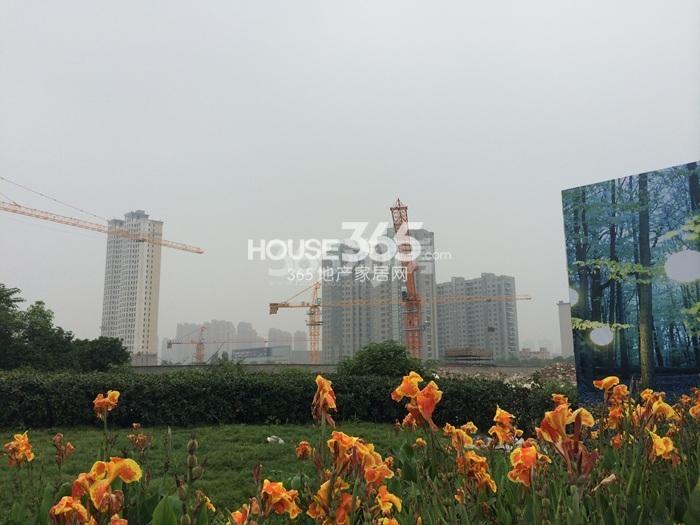 龙湖旭辉春江悦茗施工实景图 2015.7摄
