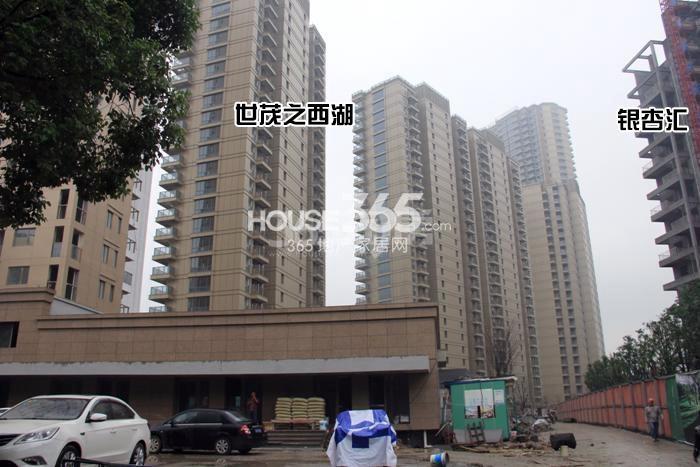 2015年11月银杏汇项目及周边楼盘实景