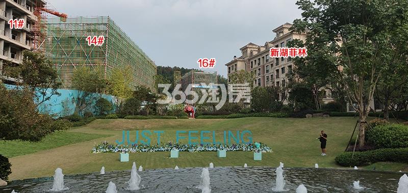 新湖菲林山11、14、16号楼施工进程（2018.10）