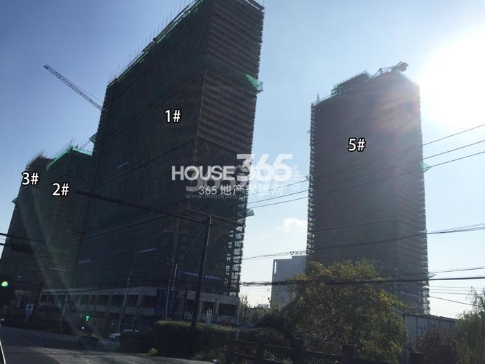 首开国风美域项目1—3、5号楼施工进程图（2015.11）