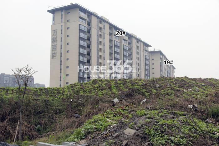 万科西庐一期19、20号楼施工进程图（2015.11）