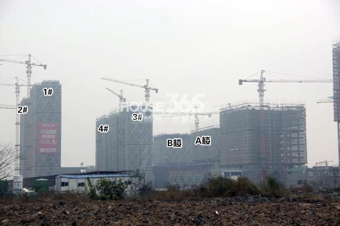 西溪永乐城项目整体施工进程图（2015.11）