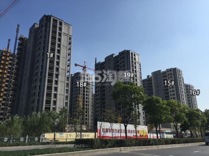 德信大家钱江府1、15、16、18、19号楼施工进度实景图 2015.11摄