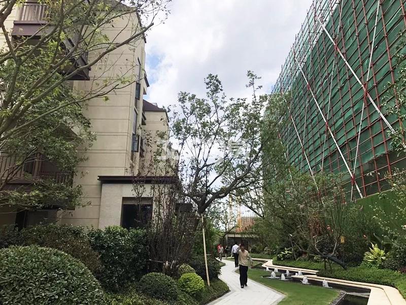 2018年8月融信沐澜示范区局部实景
