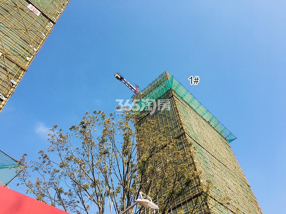 保亿风景未来城1月工程进展