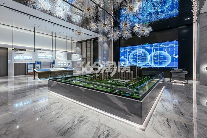 南山观枫四季花园售楼处实景图2.27