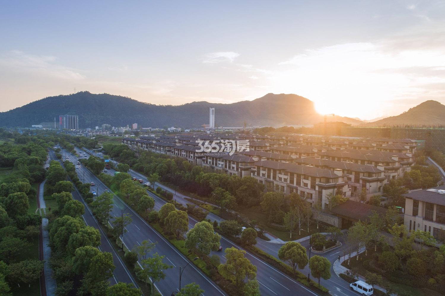 君望花苑庭低密度多层实景图 2018年摄