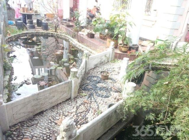 【西路园花园【超大私人空间】【超a花园装修】的吴中别墅泰华别墅二手南丰图片