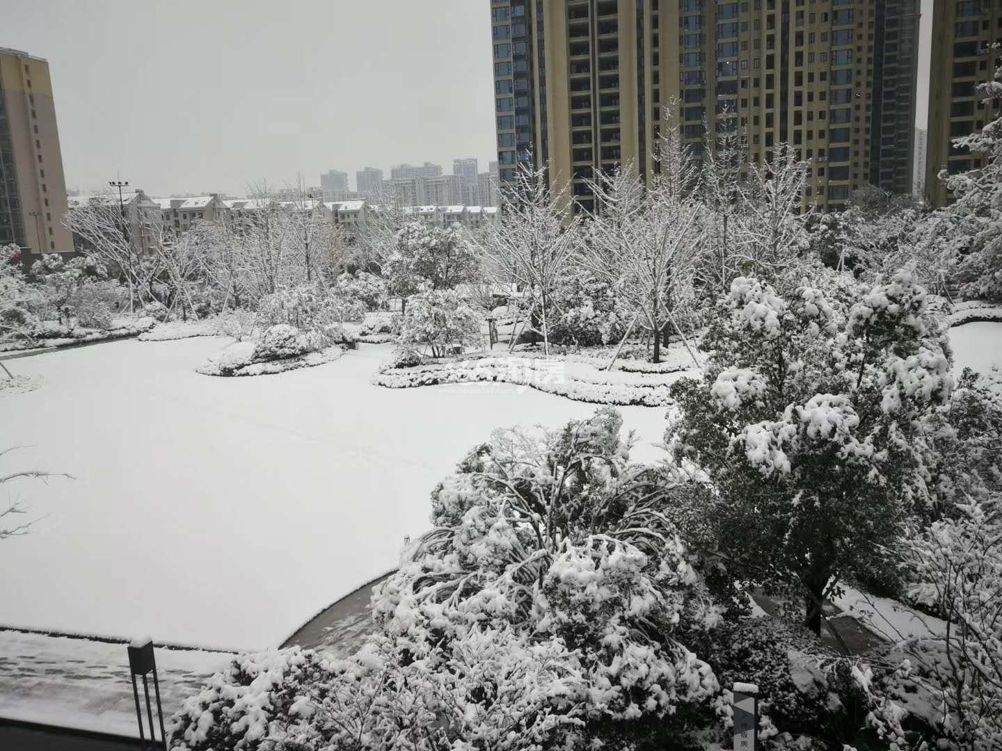 绿城九龙仓桂语江南南侧公园雪景图 2018.12摄