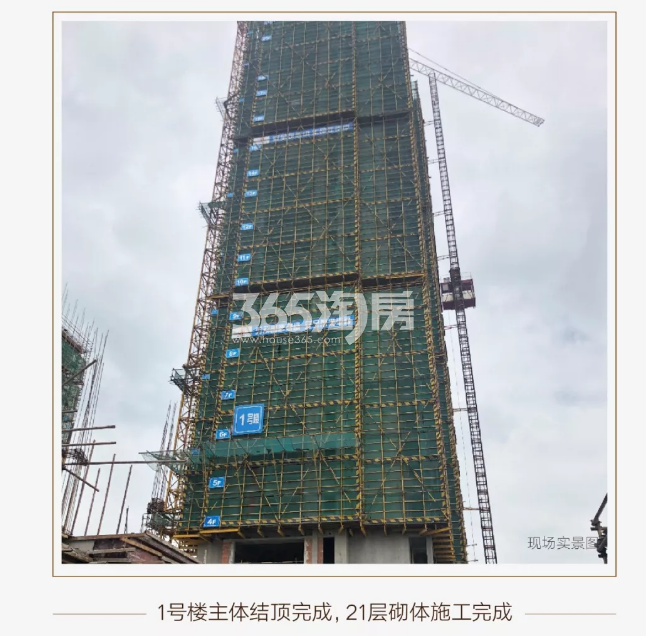 中天卓越风荷锦庭1#施工实景图（2019.8摄）