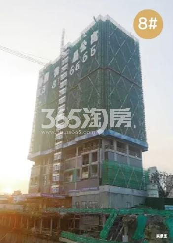 2019年8月滨江金地御品8号楼实景