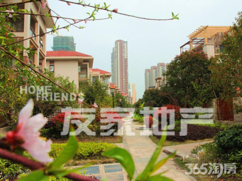 清风!柏庄丽城!附小别墅萃文别墅!带地下师大中学园路车位武汉大学图片