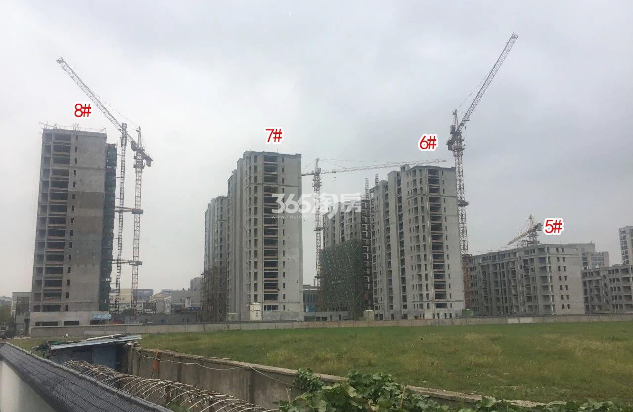 招商武林郡5-8#实景图（2018.10）