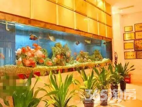 【湖北路1号精装酒店2层 一样大实用面积110