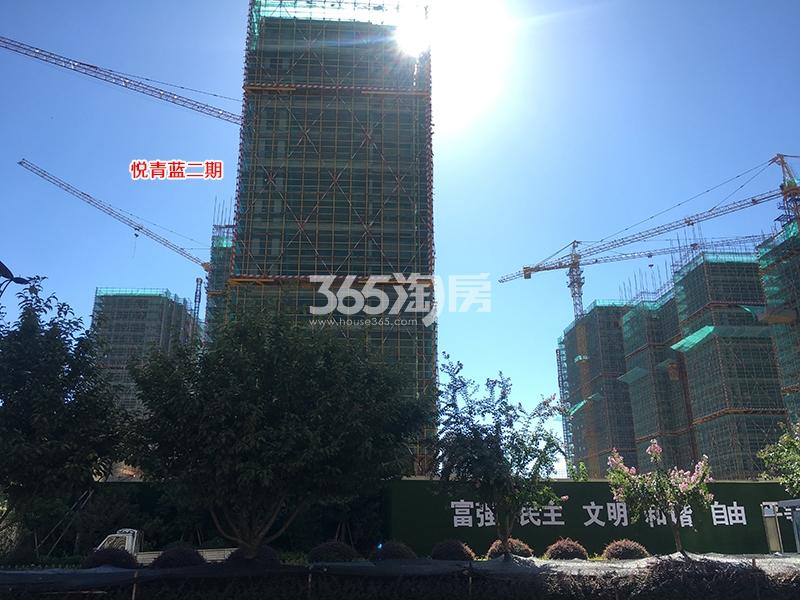 悦青蓝项目二期实景图（2018.8）