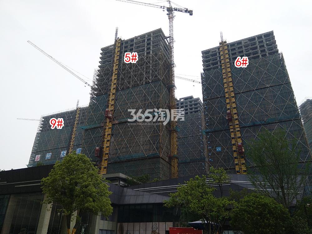 湖山壹品苑实景图（2019.05）
