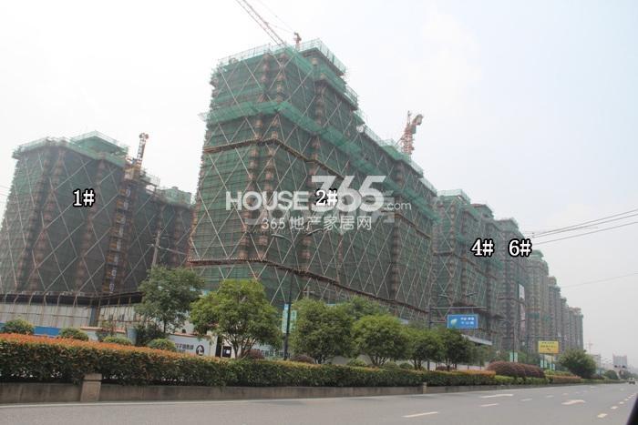 绿城蓝庭项目1、2、4、6号楼施工进程图（2015.8）