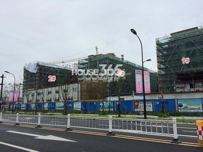 朗诗花漫里项目2、3、9号楼施工进程图（2015.8）