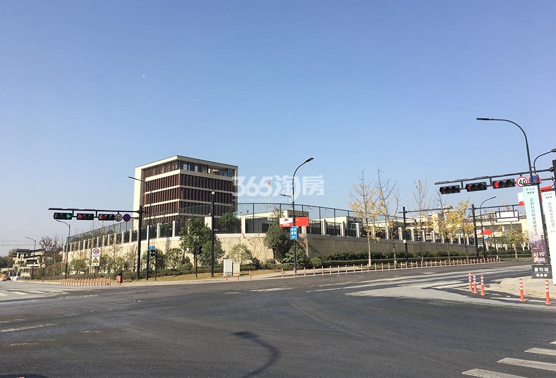 育才小学（2019.11）