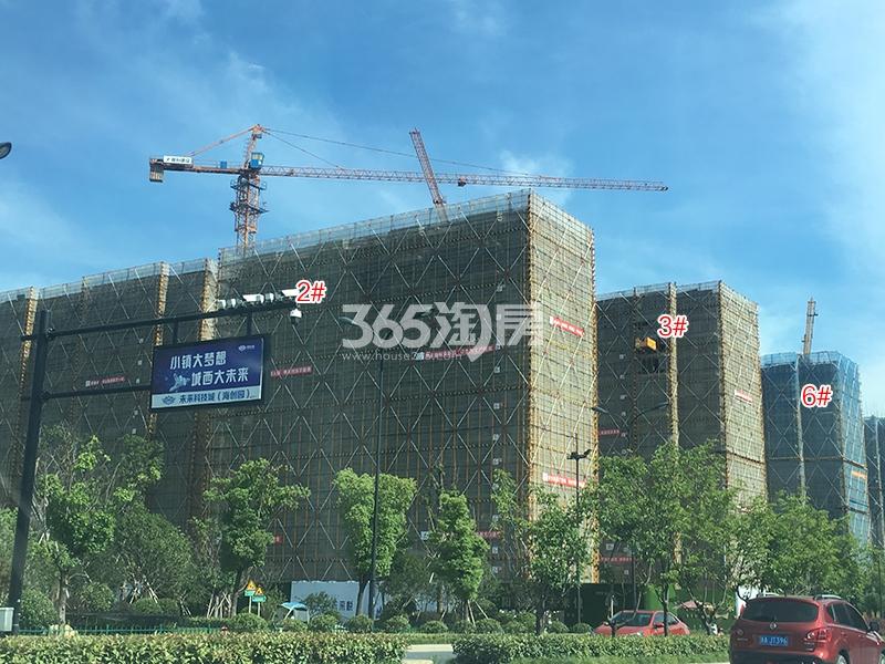 阳光城未来悦2、3、6号楼实景图（2018.7）