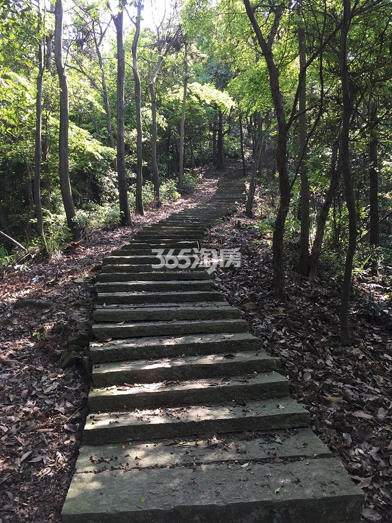 和家园雍园配套——登山游步道