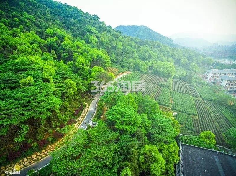 和家园雍园配套——西溪谷沿山慢行道