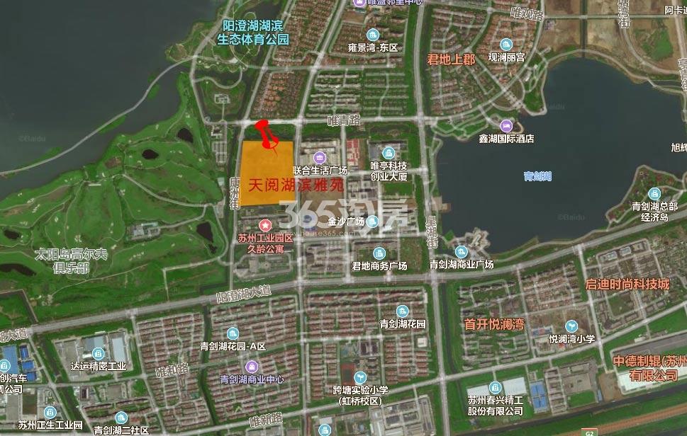 天阅湖滨雅苑项目区位示意图