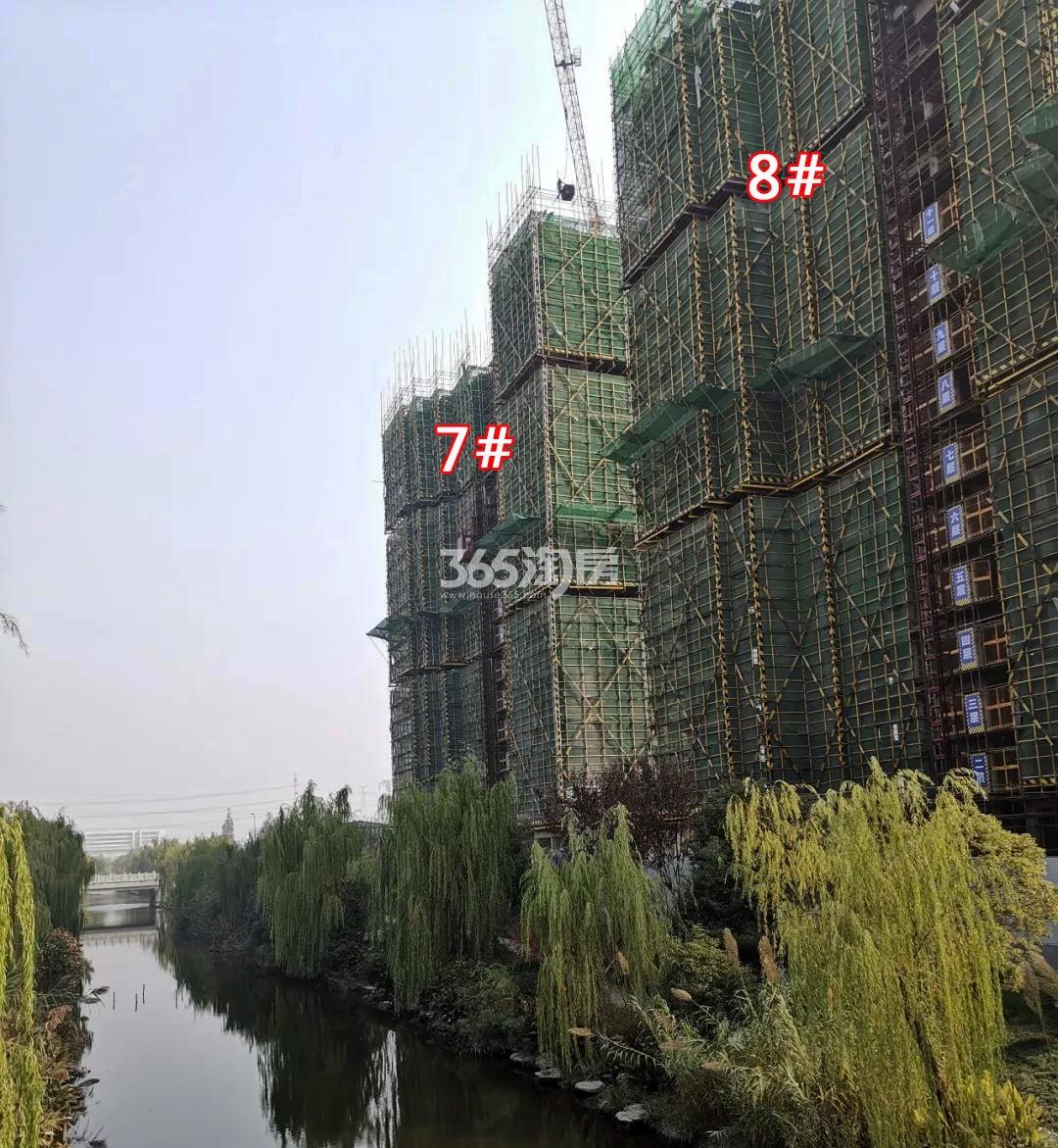 2018年12月碧桂园金科尚合府7、8号楼及周边河道