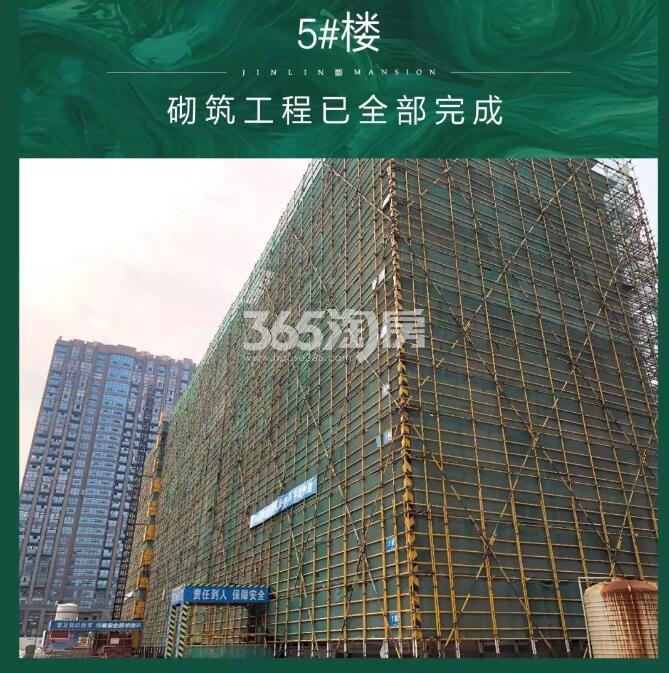 新希望滨江锦粼府5#施工实景图（2019年5月摄）