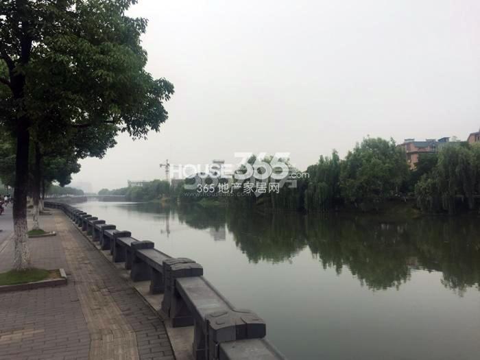 2015年6月阳光郡项目周边河景