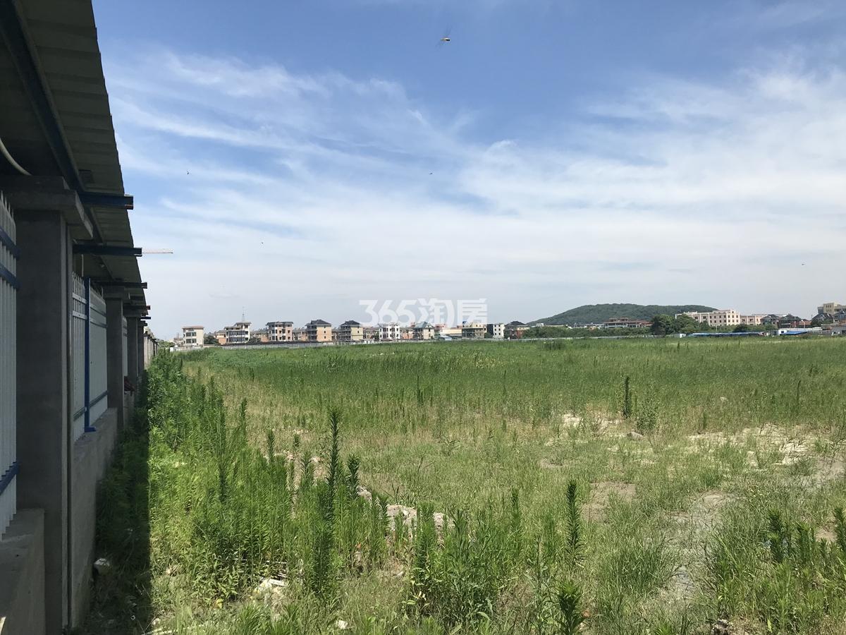 德信浙旅天空之翼东侧德信地块实景图 2018年6月摄