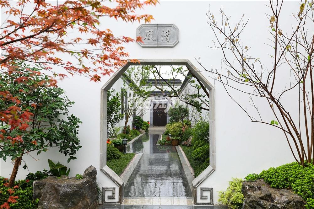 2019年3月富春玫瑰园实景图