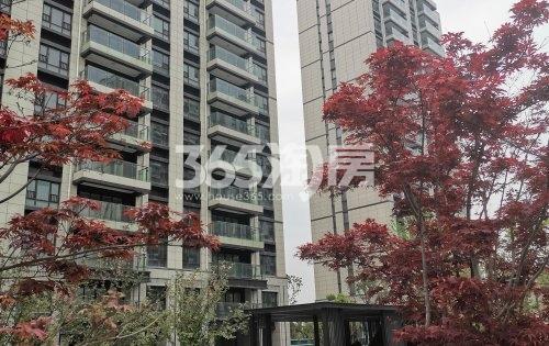 星翠澜庭高层在建实景（5.11）