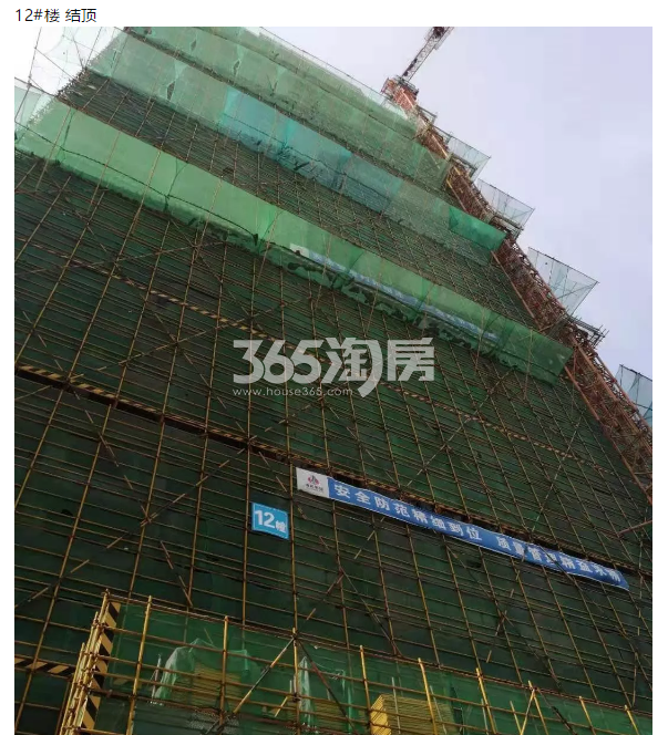 金地滨江万科悦虹湾12#施工实景图（2019年7月摄）