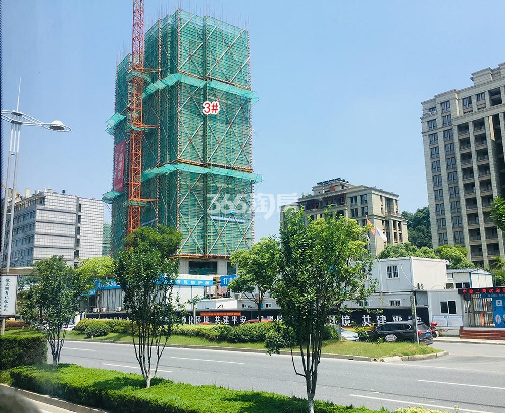 美晟府实景图（2019.06）