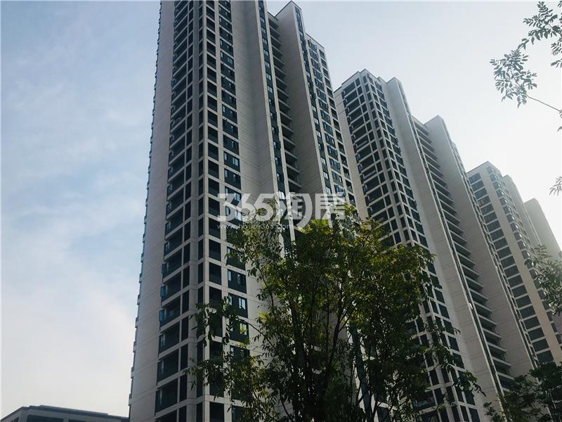 都会钱塘东区项目实景（2019.08）