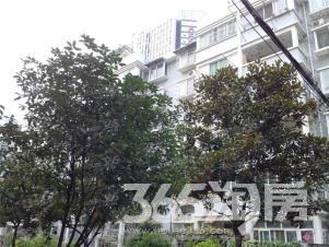 【一环内 金科庐州樾北侧 晶体管厂宿舍 两室一