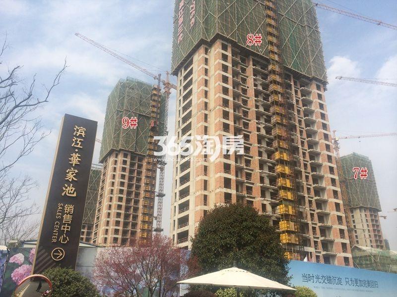 滨江华家池凯7、8、9号楼施工实景图 2016年3月摄