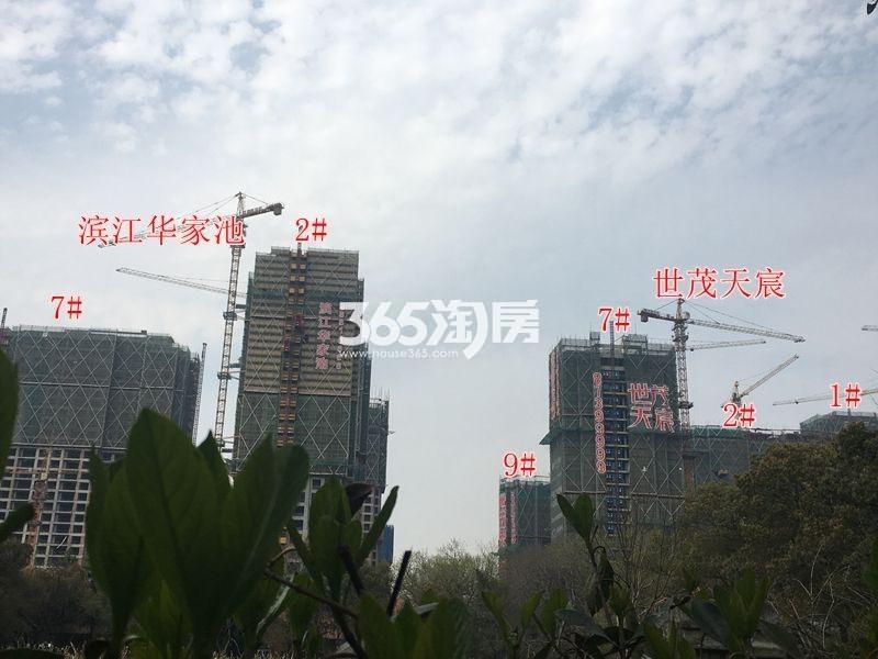 滨江华家池凯2、7号楼施工实景图 2016年3月摄